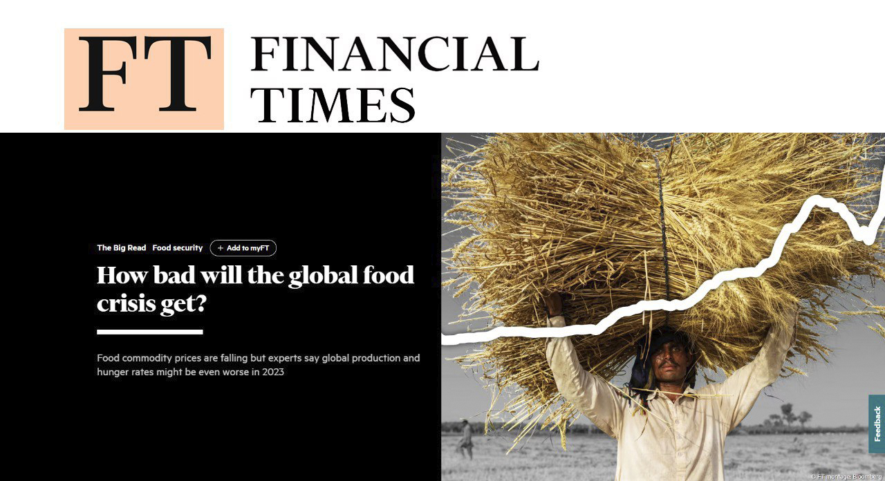 Насколько серьезным будет глобальный продовольственный кризис?